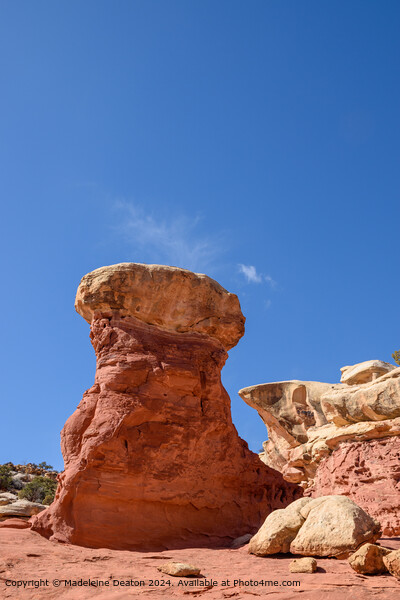 Beautiful Rock Formation in Cohab Canyon, Capitol Reef National Park Picture Board by Madeleine Deaton
