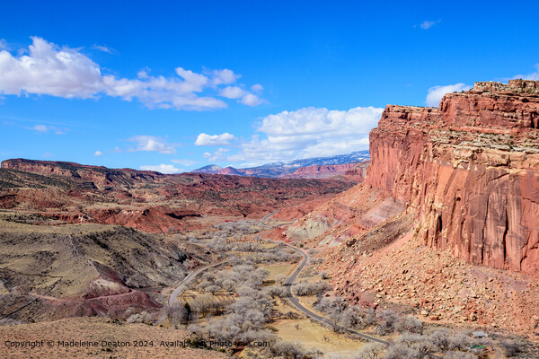 Capitol Reef National Park Landscape Picture Board by Madeleine Deaton