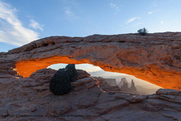 Landscape View with Sunrise Glow at Mesa Arch, Canyonlands National Park Picture Board by Madeleine Deaton