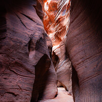 Sunlit Rock Formations in Buckskin Gulch Slot Canyon: A Stunning Natural Wonder