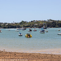 Buy canvas prints of Moored Boats, Paihia, New Zealand, 5.12.22 by Colin Mortimer