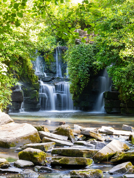 Penllergaer waterfall Wales Picture Board by Rick Pearce