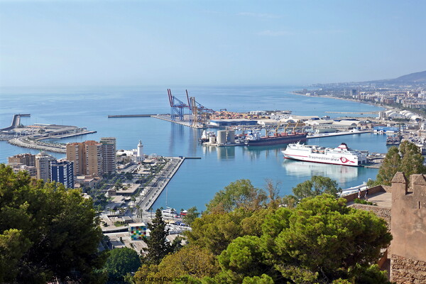 Malaga port from Gibralfaro Picture Board by Paul Boizot