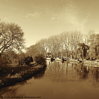 Buy canvas prints of River Thames at Lechlade, sepia by Paul Boizot