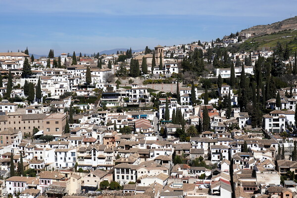Albaicin from Alhambra, Granada 2 Picture Board by Paul Boizot