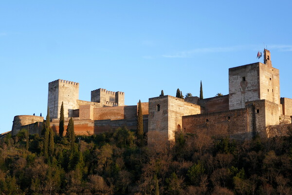Alhambra from Albaicin, Granada Picture Board by Paul Boizot