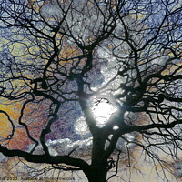 Buy canvas prints of Oak tree in early Spring, York, coloured sky edit by Paul Boizot