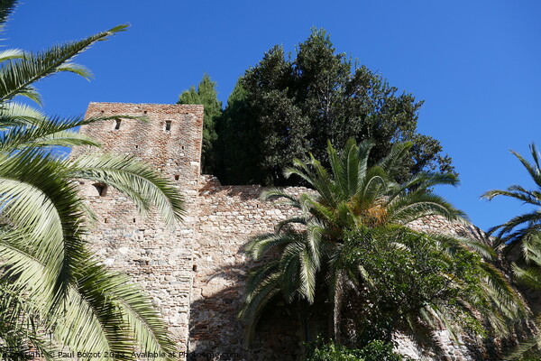 Alcazaba walls with trees, Malaga Picture Board by Paul Boizot