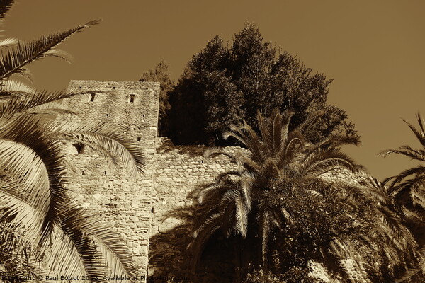 Alcazaba walls with trees, Malaga, sepia Picture Board by Paul Boizot