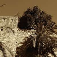 Buy canvas prints of Alcazaba walls with trees, Malaga, sepia by Paul Boizot