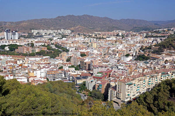 Malaga north from Gibralfaro Picture Board by Paul Boizot
