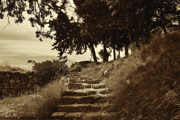 Steps to Acropolis, Rhodes, sepia Picture Board by Paul Boizot