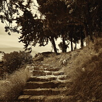 Buy canvas prints of Steps to Acropolis, Rhodes, sepia by Paul Boizot