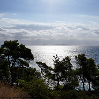 Buy canvas prints of Sea view with pines, Alonissos by Paul Boizot