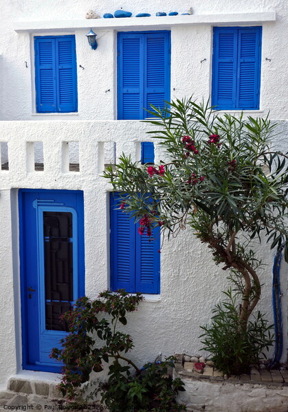 Blue and white house, Alonissos Picture Board by Paul Boizot