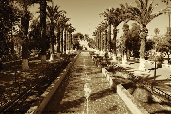 Fountains and palms, Taroudant, sepia Picture Board by Paul Boizot