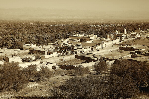 Tioute village and oasis, Morocco 1, sepia Picture Board by Paul Boizot