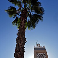 Buy canvas prints of Palm tree and minaret, Taroudant  by Paul Boizot