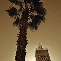 Buy canvas prints of Palm tree and minaret, Taroudant, sepia  by Paul Boizot