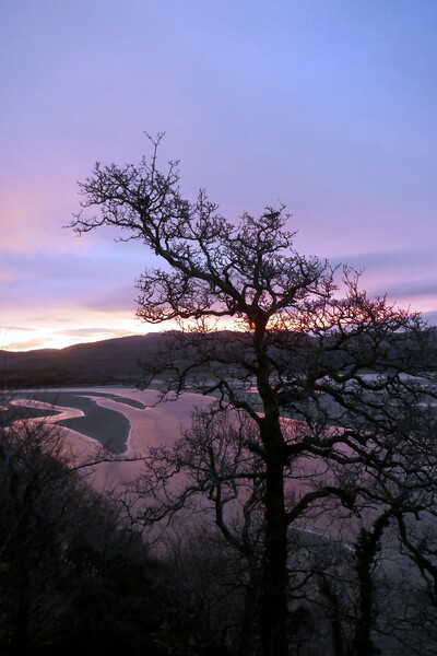 Dawn at Portmeirion 3 Picture Board by Paul Boizot