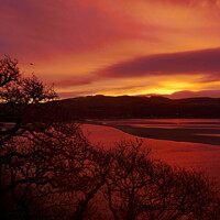 Buy canvas prints of Dawn at Portmeirion 5 by Paul Boizot