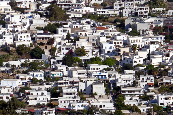 Houses in Skala, Patmos Picture Board by Paul Boizot