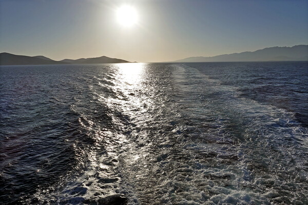 Sunlight on ferry wake, off Kos Picture Board by Paul Boizot