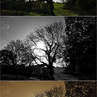 Buy canvas prints of Autumn trees and field, Oxfordshire montage by Paul Boizot