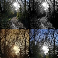 Buy canvas prints of Path to sunlight montage by Paul Boizot