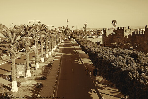 Avenue Moulay Rachid and Taroudant city walls, sepia Picture Board by Paul Boizot