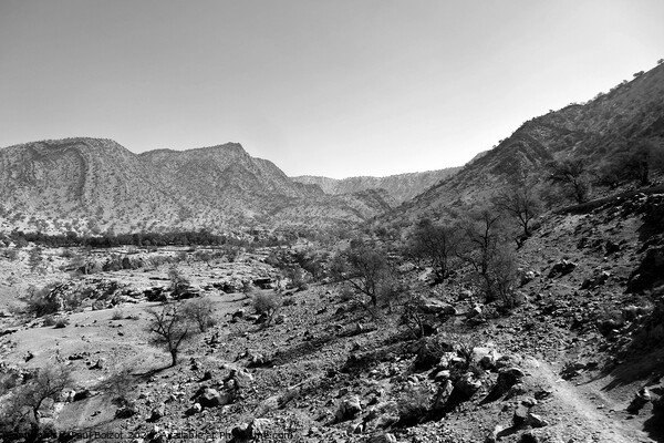 Dry landscape, Anti-Atlas mountains, monochrome Picture Board by Paul Boizot
