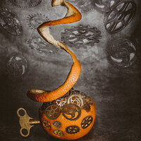 Buy canvas prints of Clockwork Orange by Lesley Carruthers
