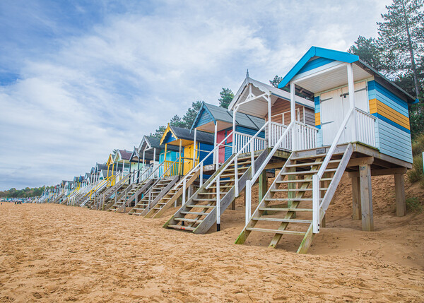 Wells Beach Huts Picture Board by Bryn Ditheridge