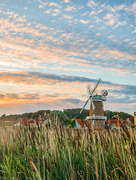 Cley Windmill at Sunrise Picture Board by Bryn Ditheridge