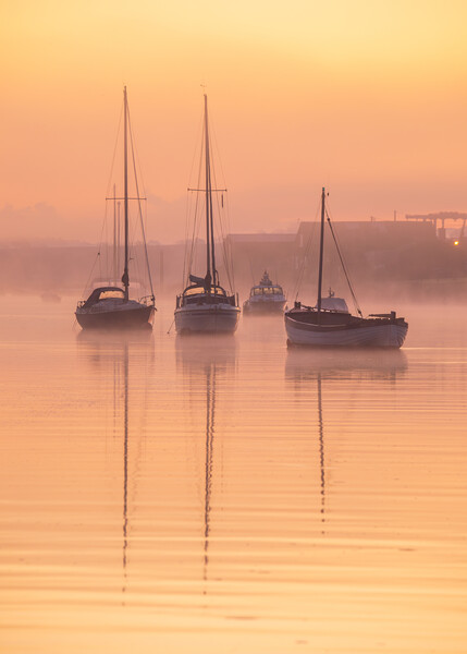 Misty Reflections, Wells-next-the-sea  Picture Board by Bryn Ditheridge