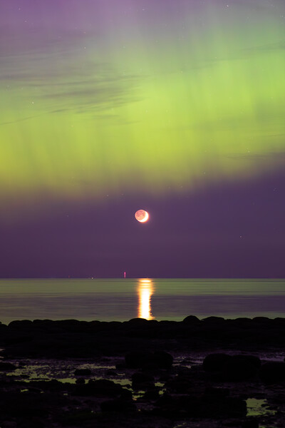 The Northern lights over the moon in Hunstanton Picture Board by Bryn Ditheridge