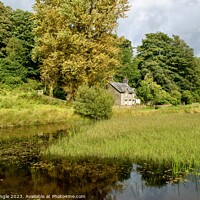Buy canvas prints of Romantic cottage in trees with water reflecting light  by Jonny Angle