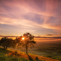 Buy canvas prints of Kithurst Hill Sunset by Alan Humphries