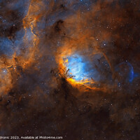 Buy canvas prints of The Tulip nebula and the Cygnus X1 black hole Bow Shock by Emil Andronic