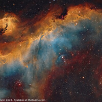 Buy canvas prints of The Seagull Nebula by Emil Andronic