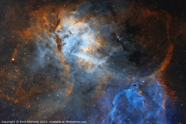 The Lion Nebula Picture Board by Emil Andronic