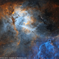 Buy canvas prints of The Lion Nebula by Emil Andronic