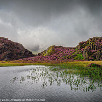 Buy canvas prints of Innominate Tarn by Emil Andronic
