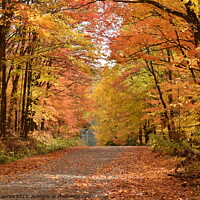 Buy canvas prints of A country road in autumn by Claude Laprise