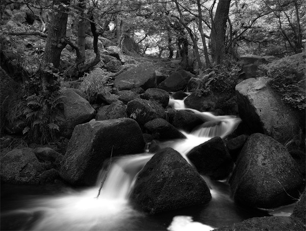 Padley Gorge in Black and White Picture Board by Simon Gladwin