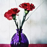 Buy canvas prints of Red Flowers in Purple Vase by Simon Gladwin