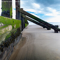Buy canvas prints of Sea Defence  by Martin Newman