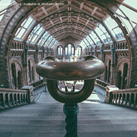 Buy canvas prints of Natural History Museum by Martin Newman