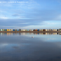 Buy canvas prints of Brightlingsea Beach Huts by Martin Newman