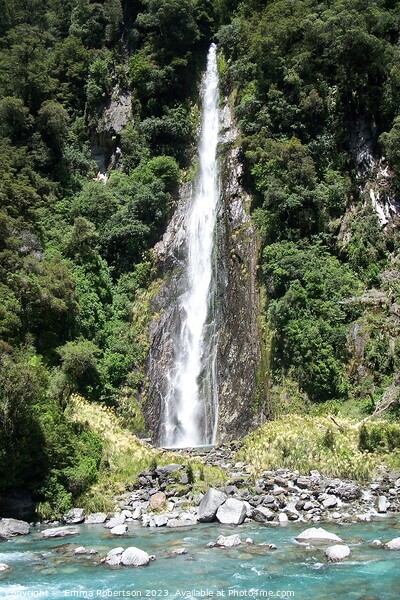 Thunder Creek Falls, New Zealand Picture Board by Emma Robertson